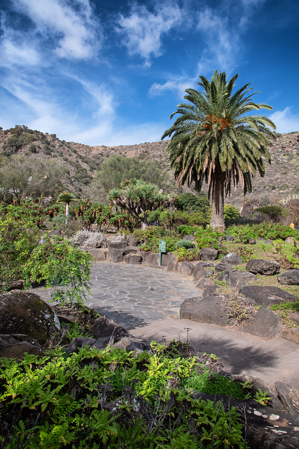 Botanischer Garten Gran Canaria