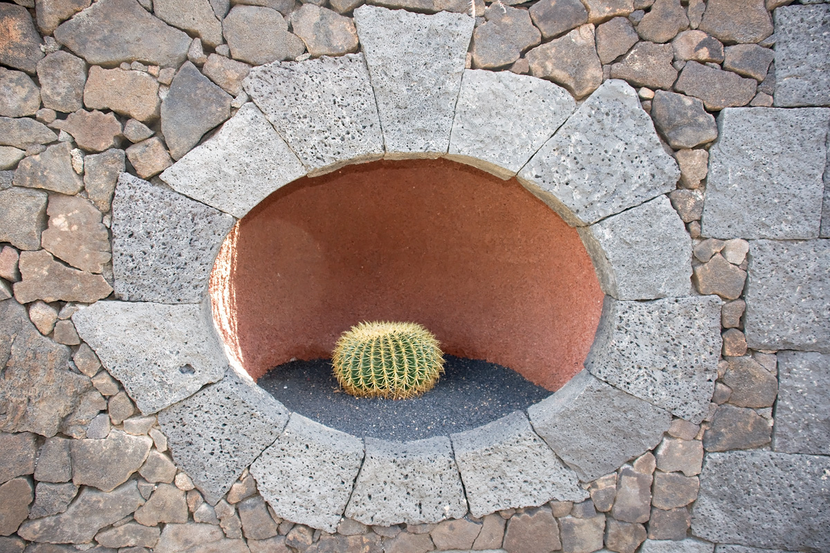 Jardin de Cactus