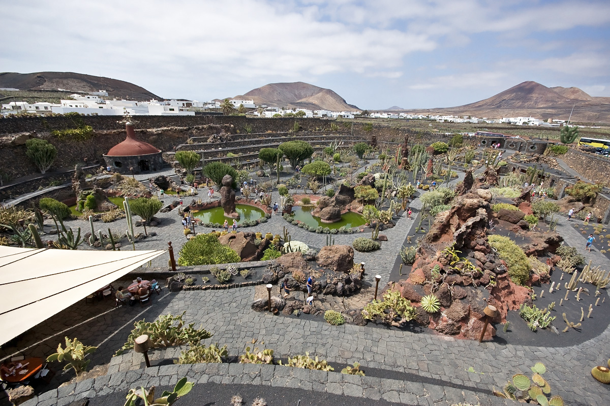 Jardin de Cactus