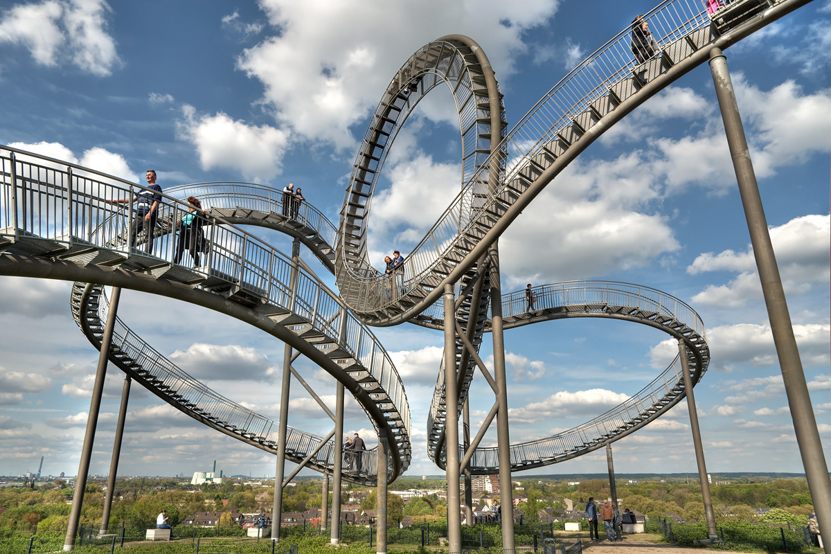 Tiger and Turtle