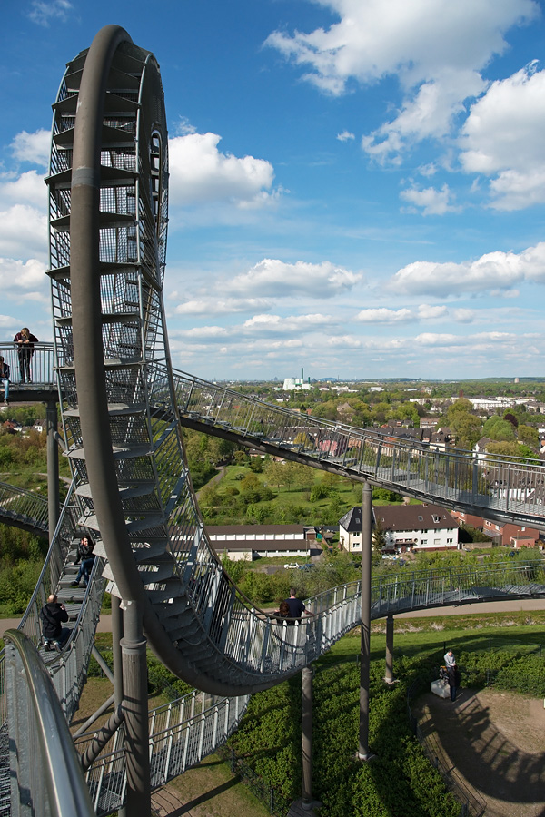 Tiger and Turtle