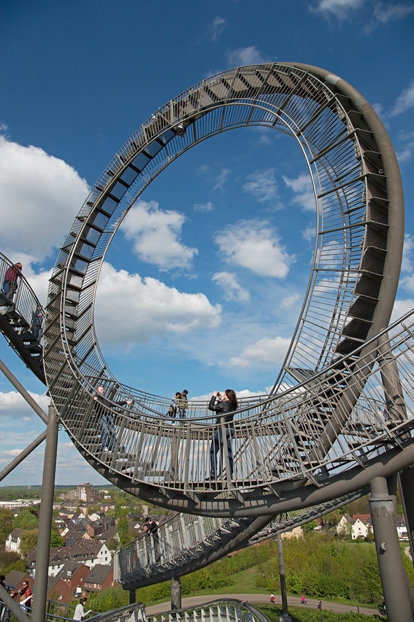 Tiger and Turtle