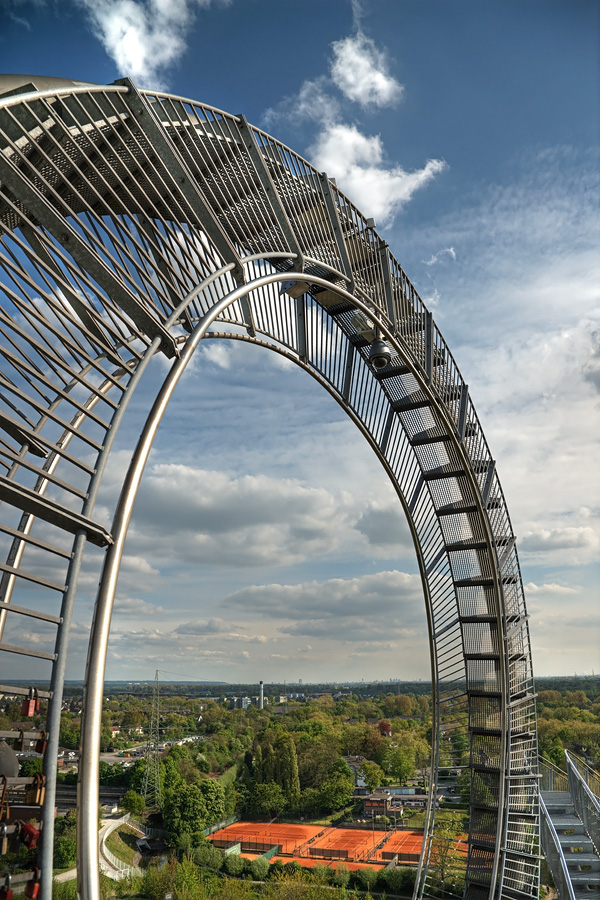 Tiger and Turtle