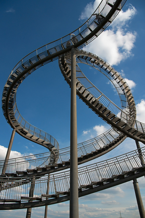 Tiger and Turtle
