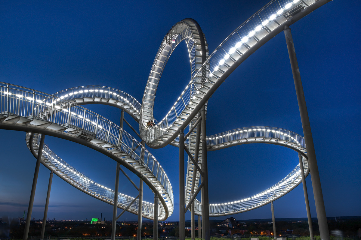 Tiger and Turtle