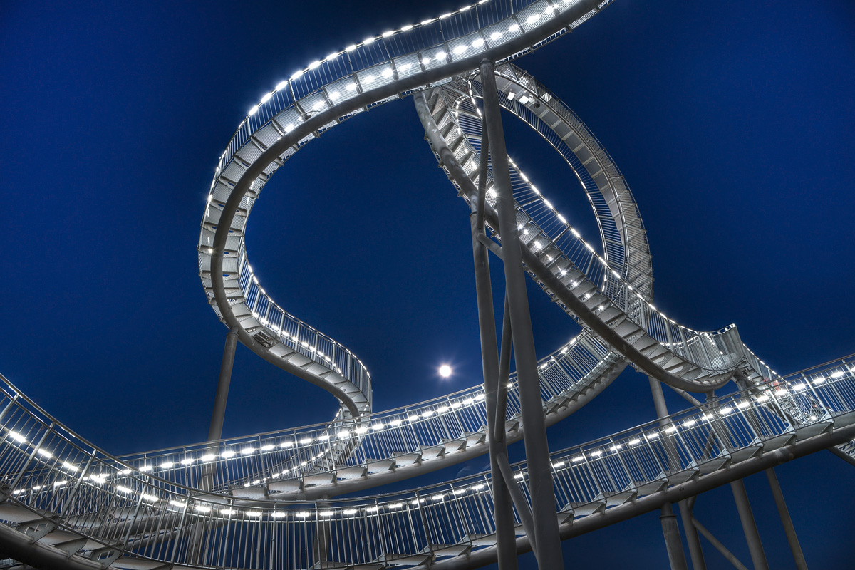 Tiger and Turtle