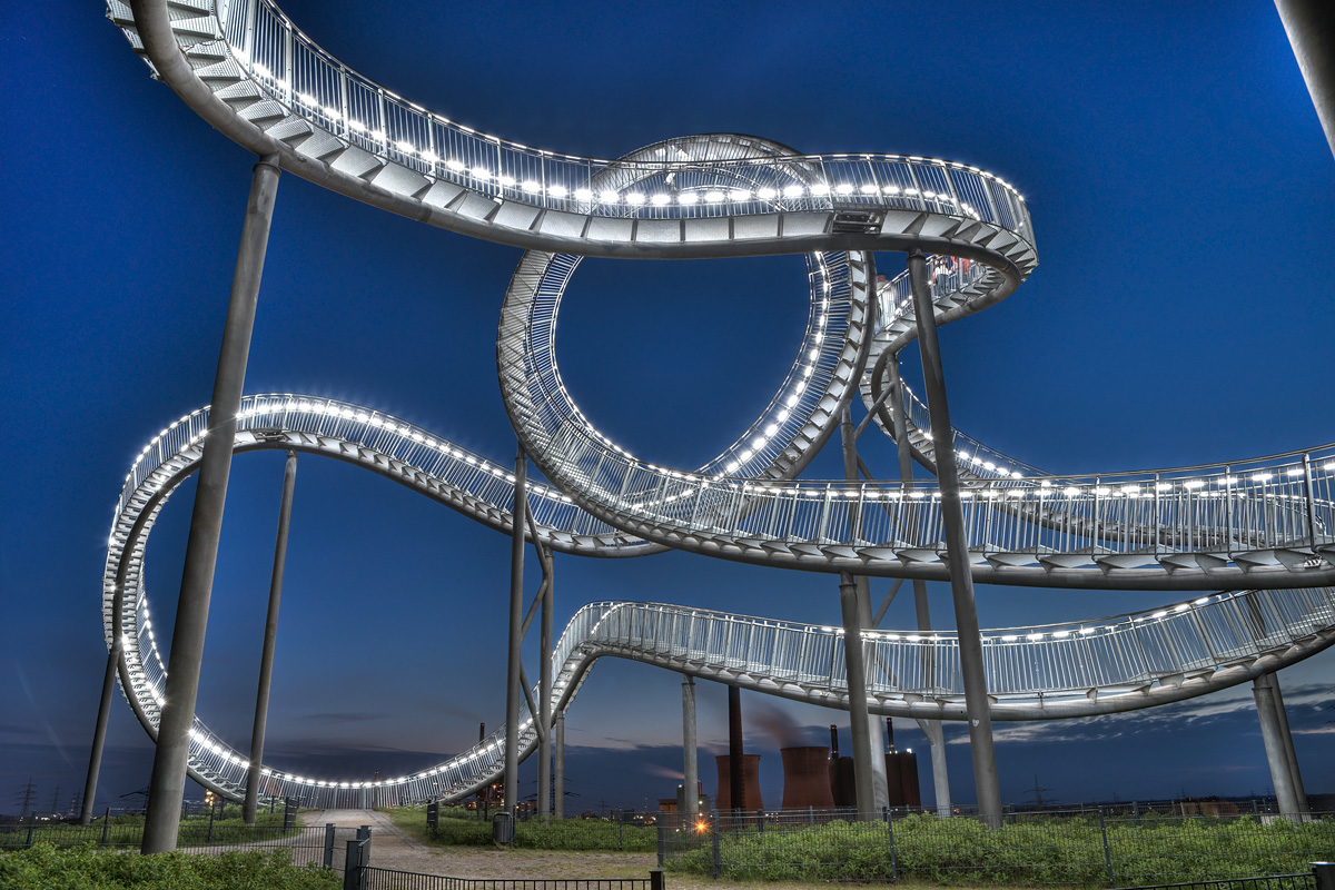Tiger and Turtle