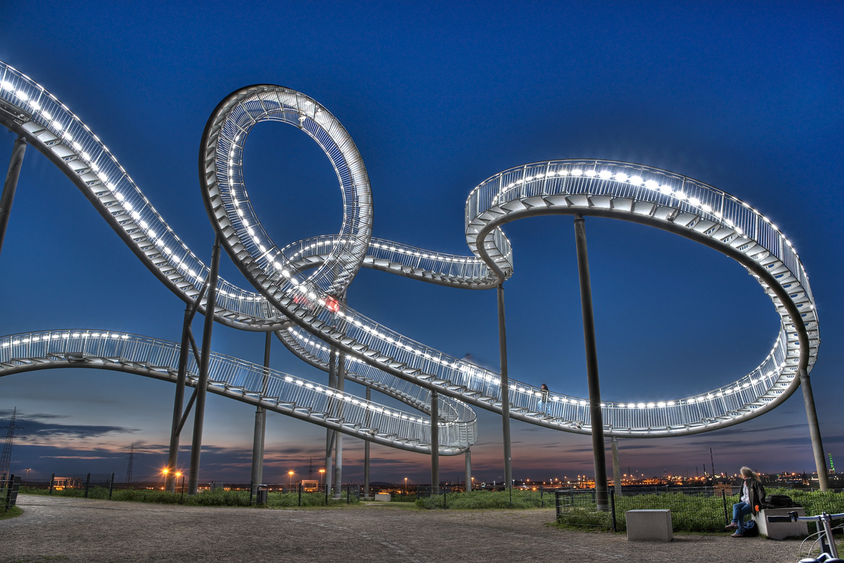 Tiger and Turtle
