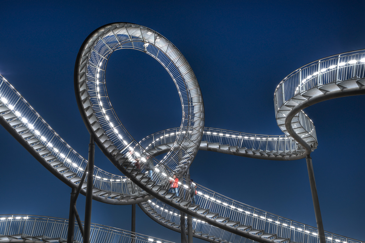 Tiger and Turtle