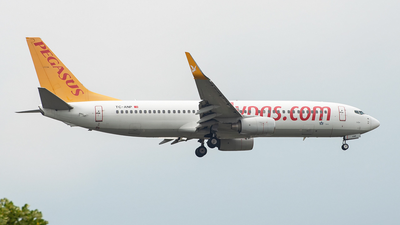 TC-ANP Pegasus Airlines Boeing 737-800